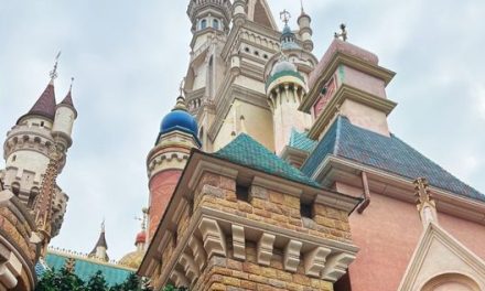 Natural Beauty in Design: The Charm of Natural Stone at Disneyland Hong Kong